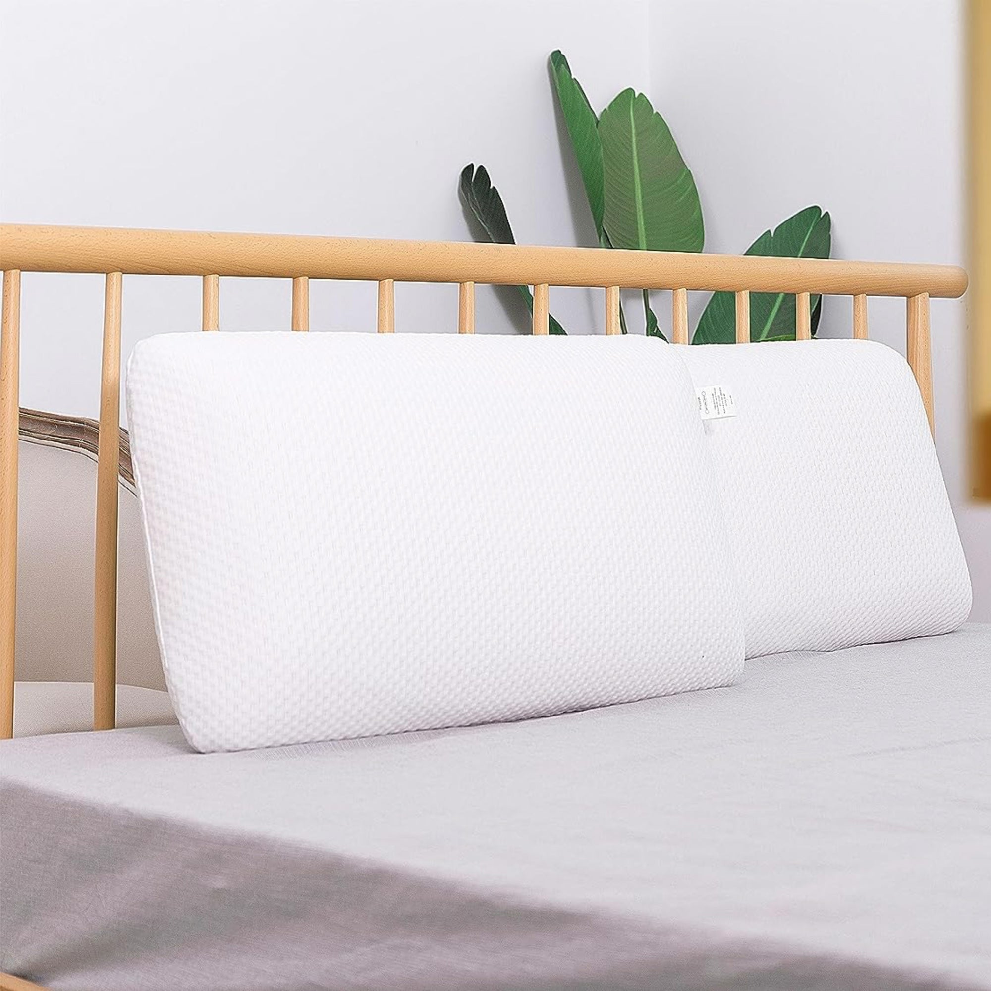 Organic Latex Pillows Molded Classic Bed Pillow (King/Soft)
